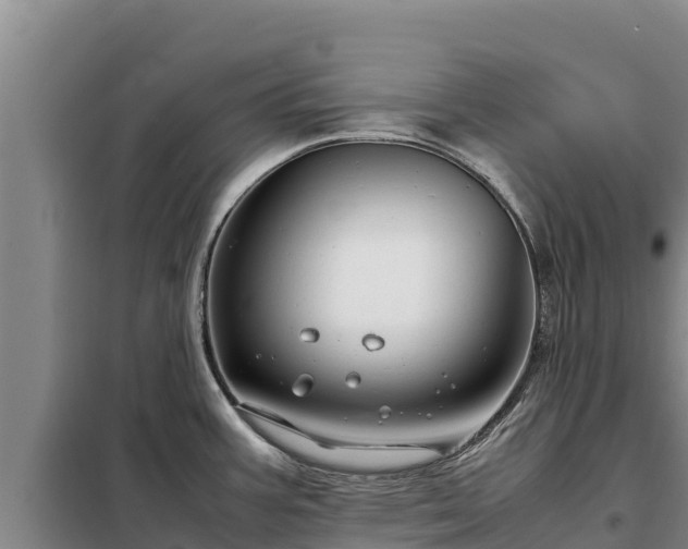 X0000099311387200805091007