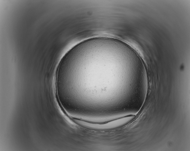 X0000099311391200805091007