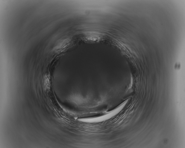 X0000099311394200805091007
