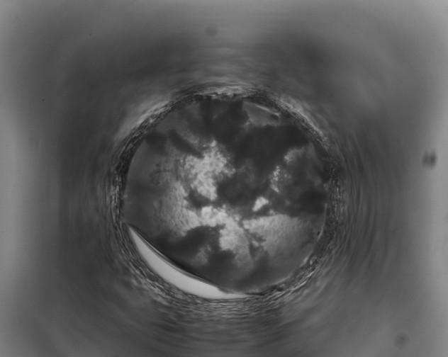 X0000099311399200805091007