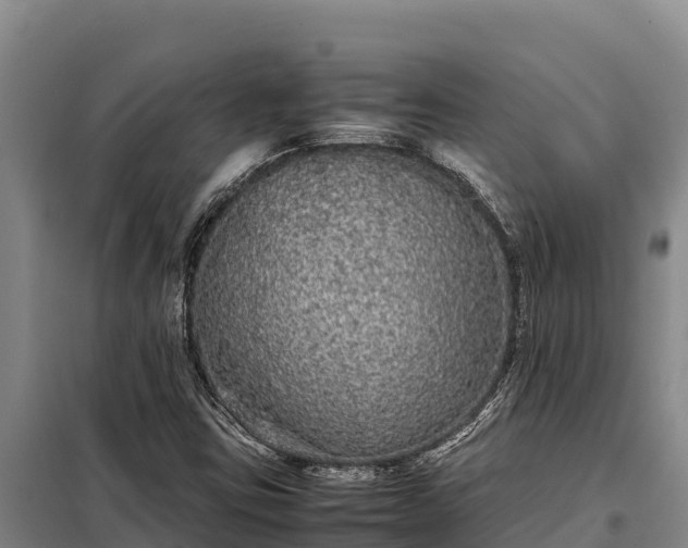 X0000099311403200805091007