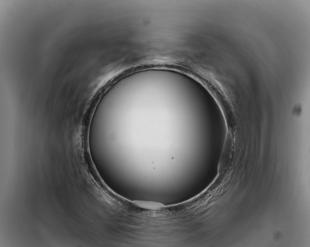 X0000099311404200805091007