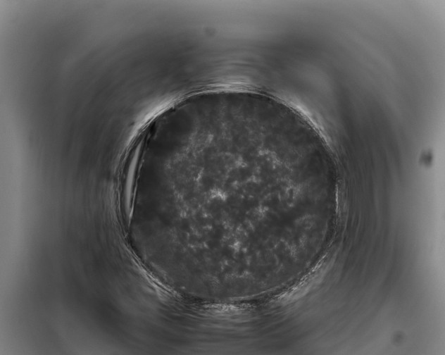 X0000099311405200805091007