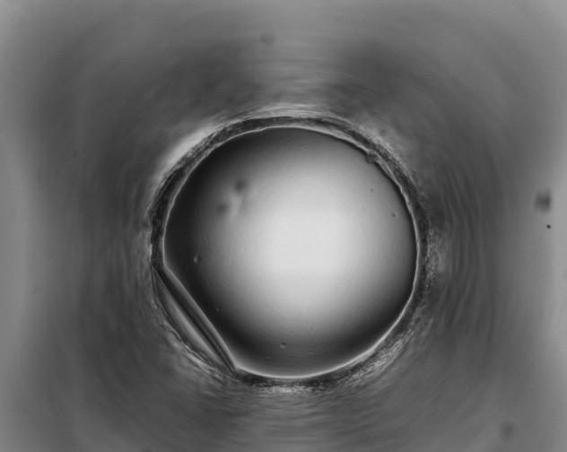 X0000099311406200805091007