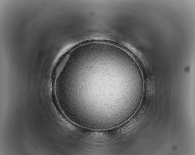 X0000099311408200805091007