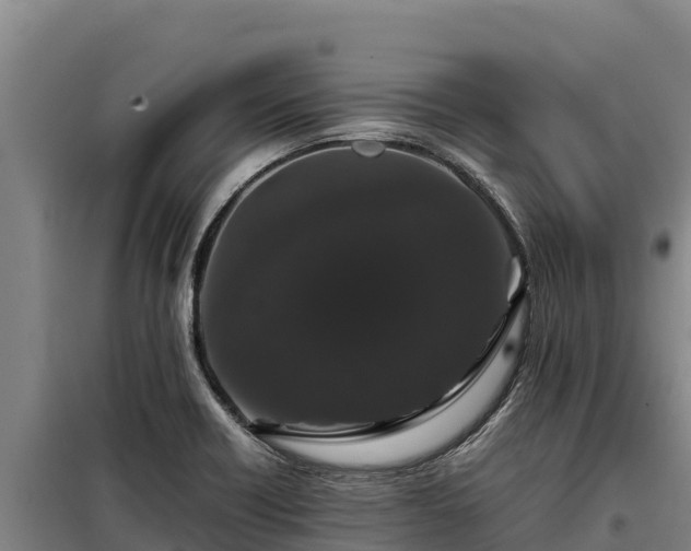 X0000099311418200805091007