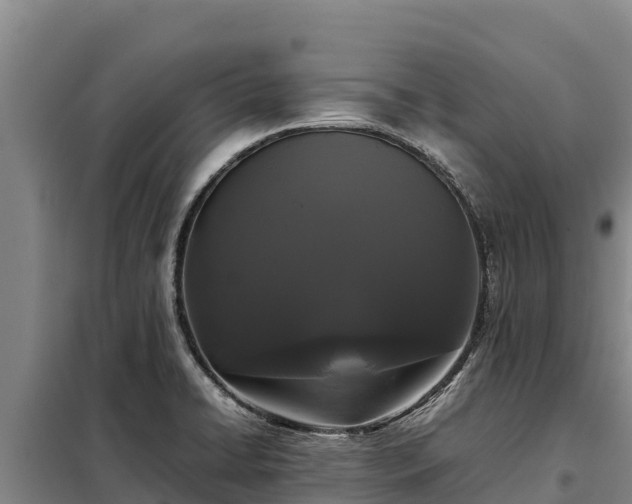 X0000099311422200805091007