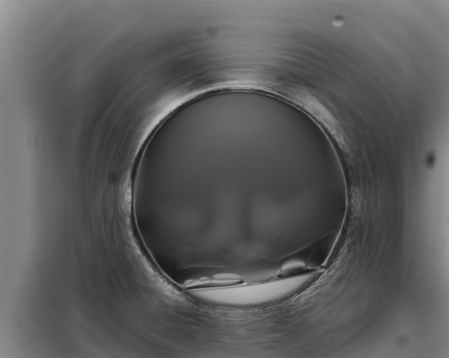 X0000099311428200805091007