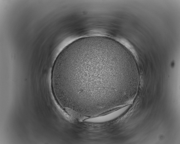 X0000099311431200805091007