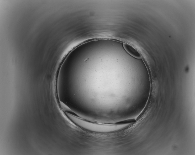 X0000099311432200805091007