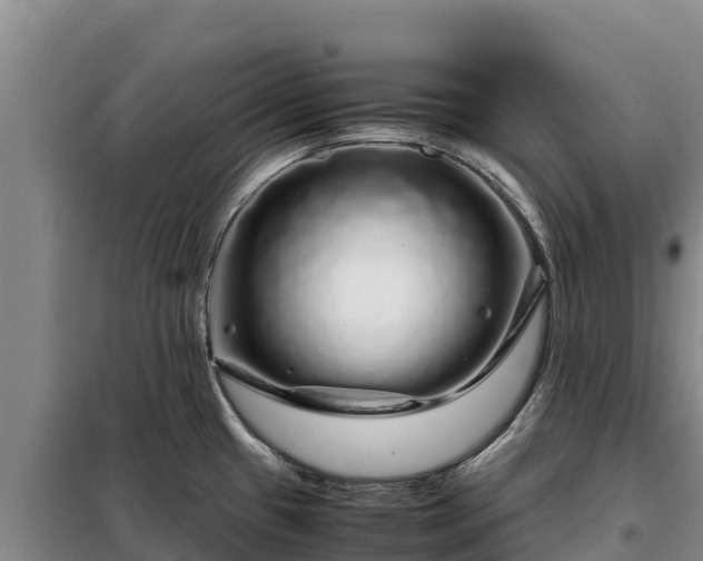 X0000099311433200805091007
