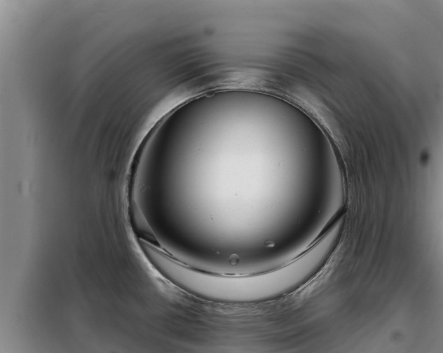 X0000099311434200805091007