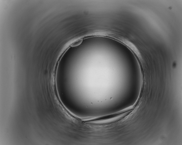 X0000099311436200805091007