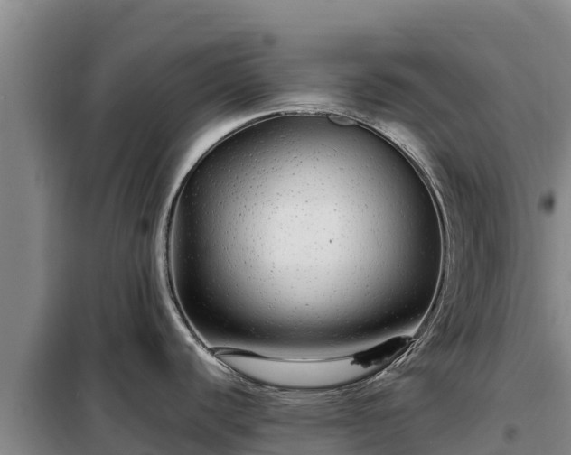 X0000099311440200805091007