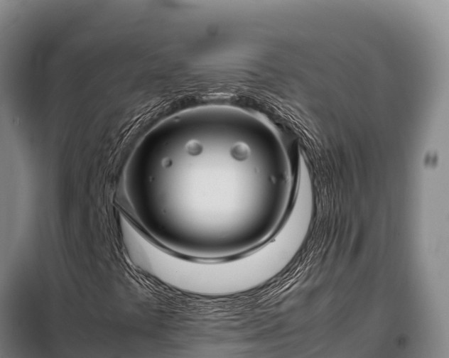 X0000099311441200805091007