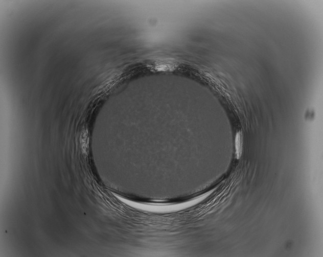 X0000099311443200805091007