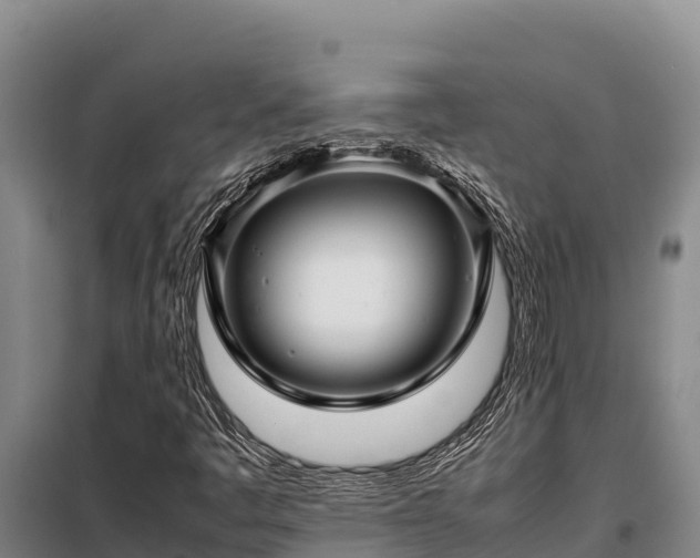 X0000099311445200805091007
