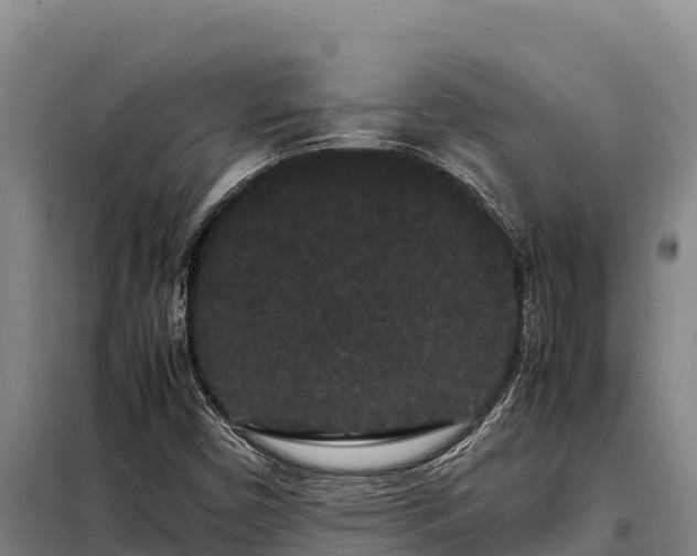 X0000099311450200805091007