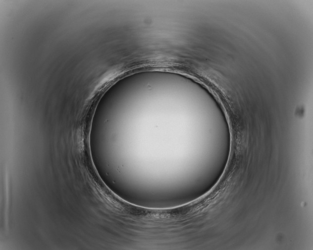X0000099311451200805091006