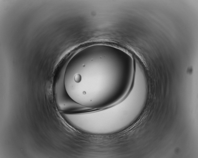 X0000099311452200805091006