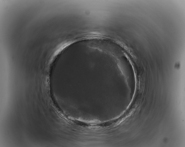 X0000099311453200805091006