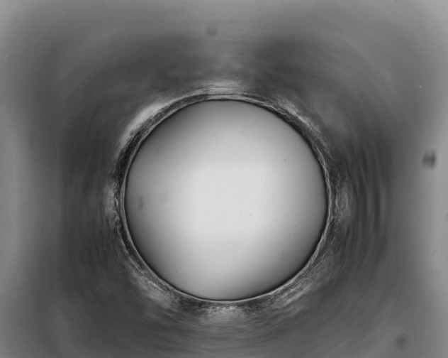 X0000099311454200805091006