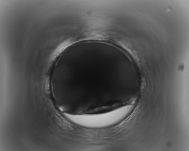 X0000099311455200805091006