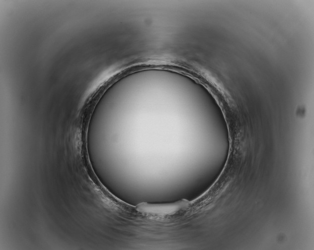 X0000099311456200805091006