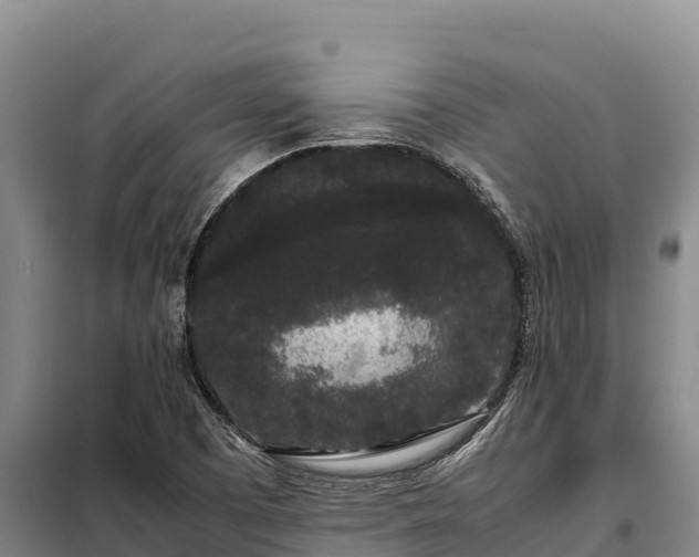 X0000099311457200805091006
