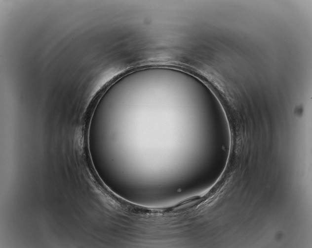 X0000099311458200805091006