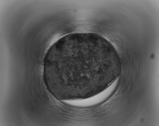 X0000099311459200805091006