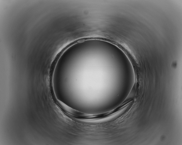 X0000099311460200805091006