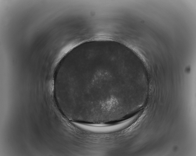X0000099311461200805091006