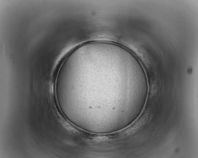 X0000099311462200805091006