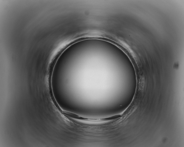 X0000099311464200805091006
