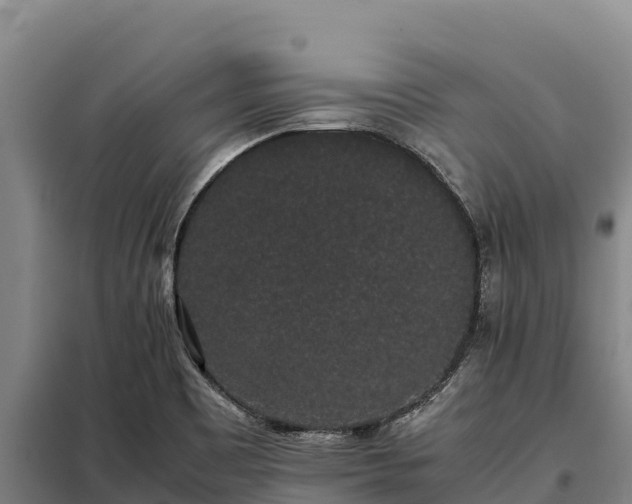 X0000099311465200805091006