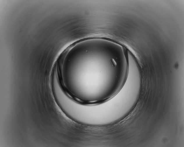 X0000099311468200805091006