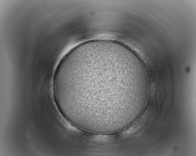 X0000099311470200805091006