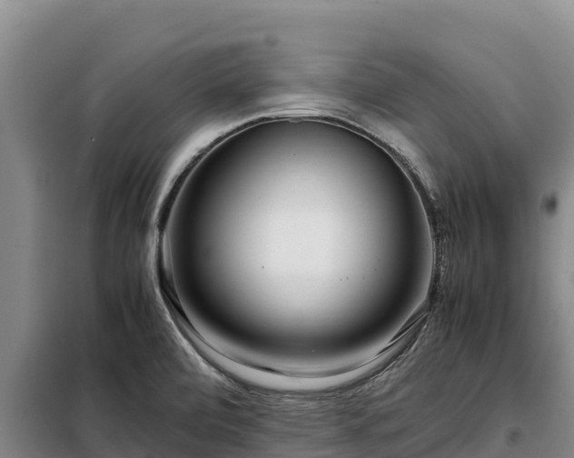 X0000099311472200805091006