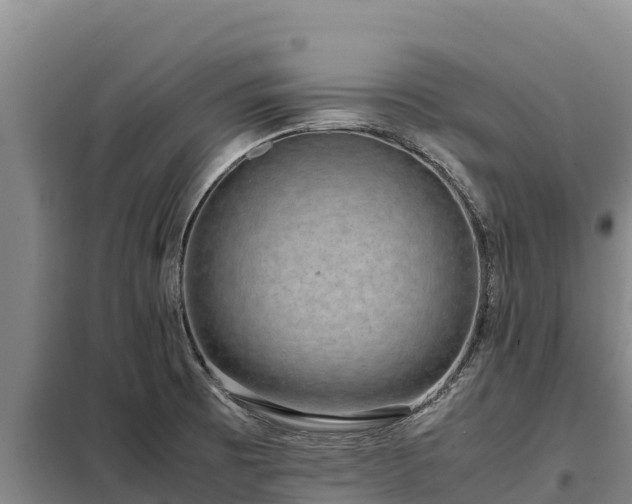 X0000099311473200805091006