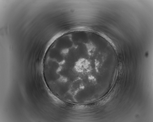 X0000099311474200805091006