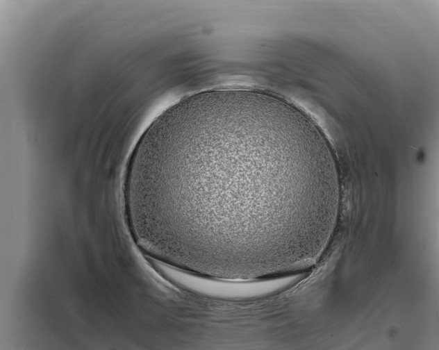 X0000099311475200805091006