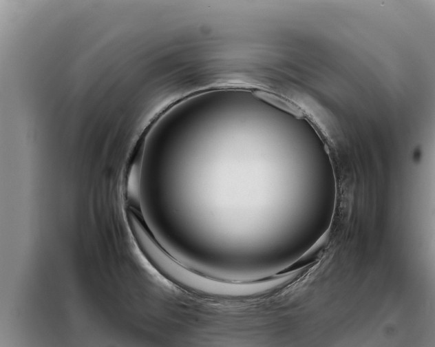 X0000099311476200805091006
