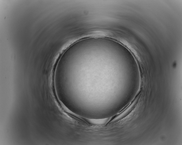 X0000099311477200805091006