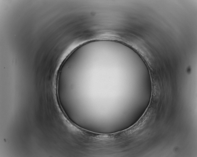 X0000099311478200805091006