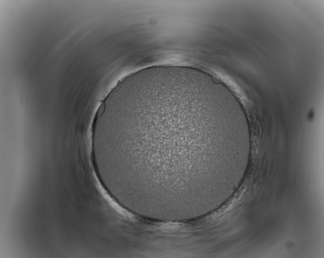 X0000099311479200805091006