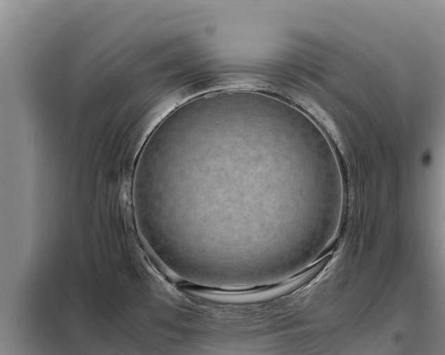 X0000099311481200805091006