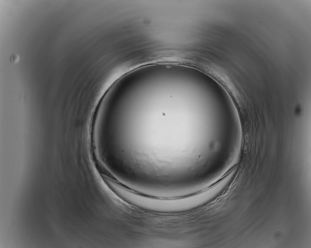 X0000099311483200805091006