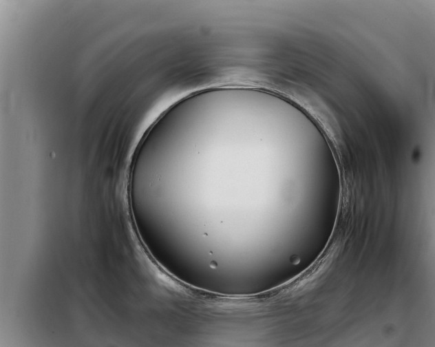 X0000099311486200805091006