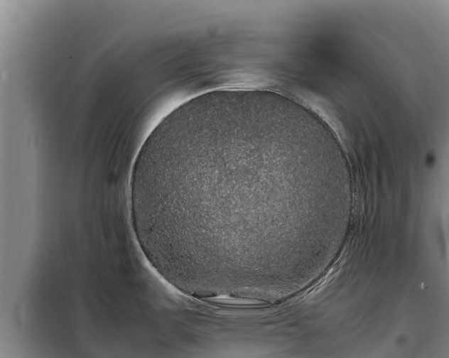 X0000099311487200805091006